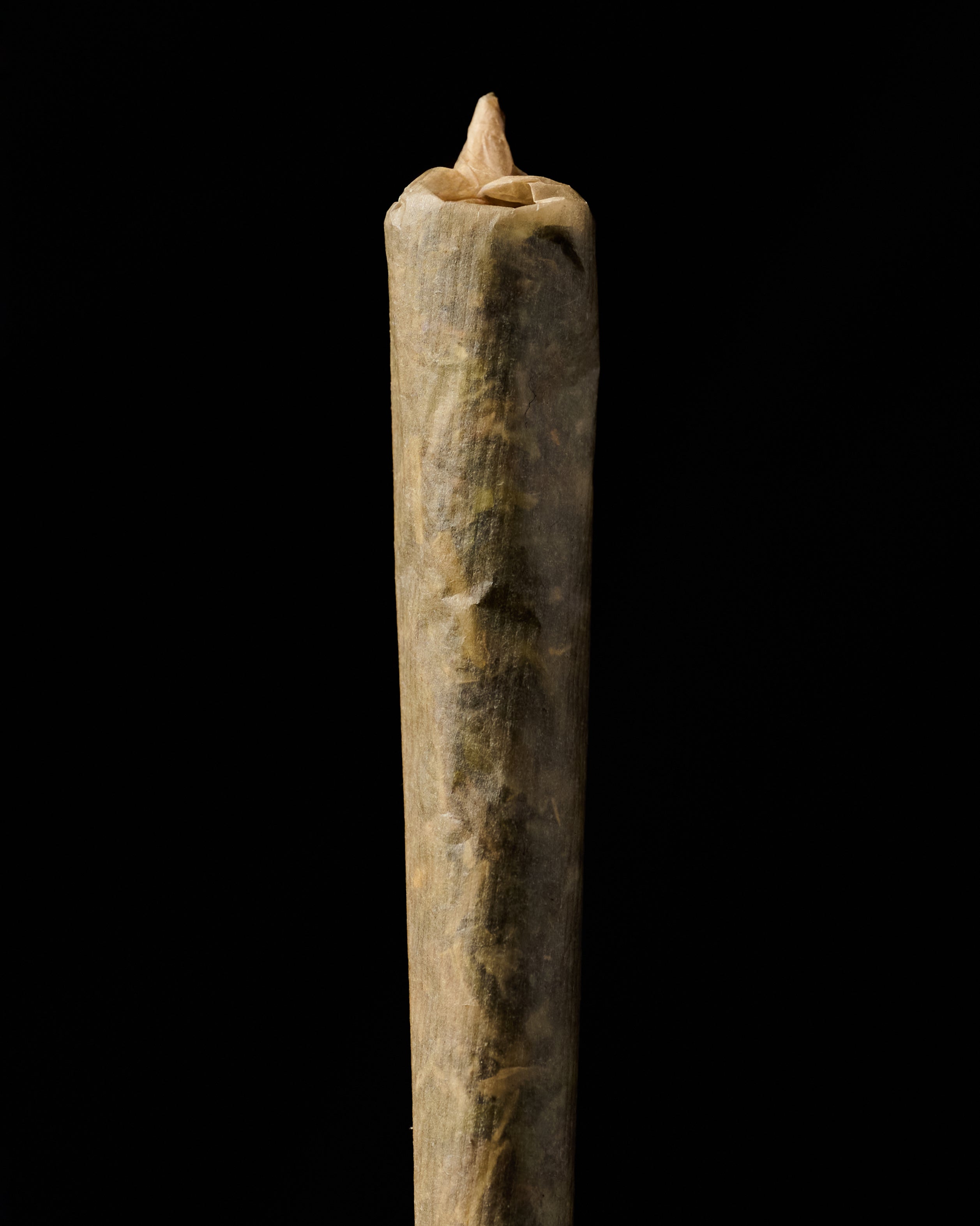 Bamboo Booklet