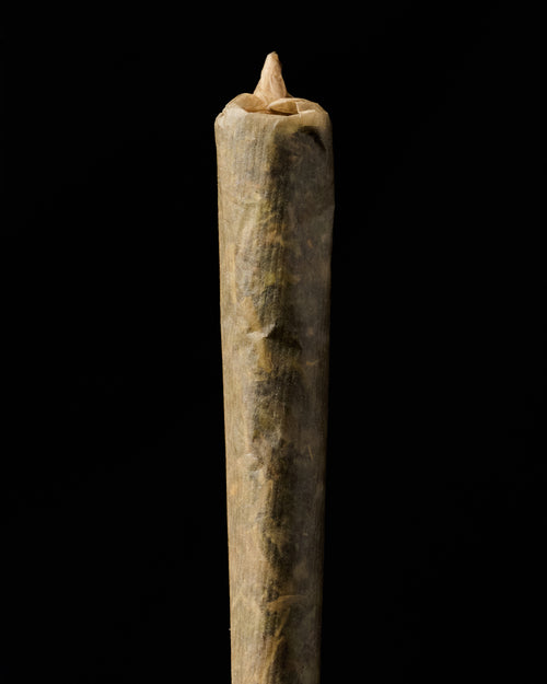 Bamboo Booklet