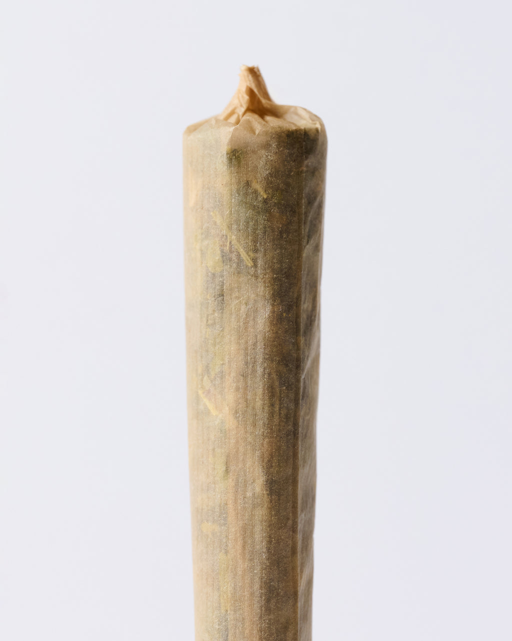 Bamboo Booklets - Full Box