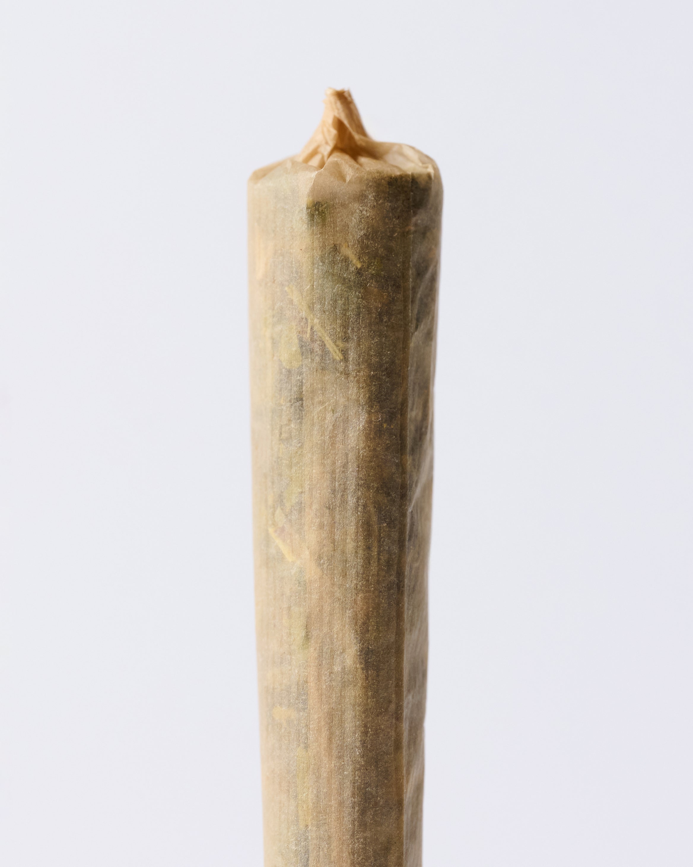 Bamboo Booklets - Full Box